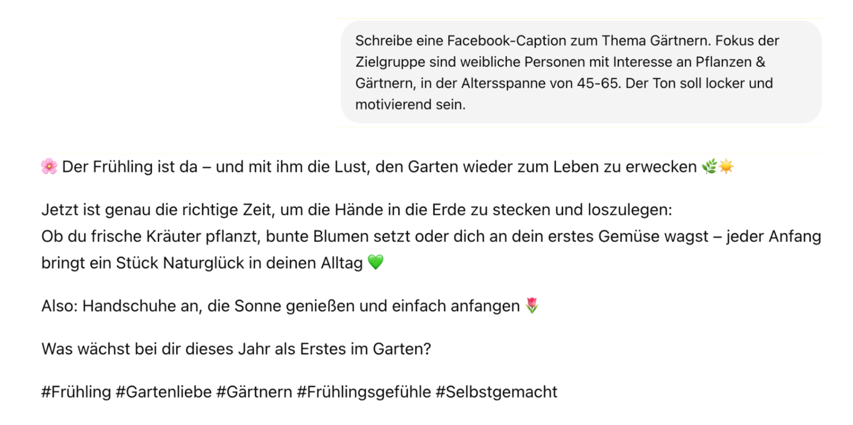  Textanweisung zur Erstellung einer Facebook-Caption mit Zielgruppenangabe und KI-Vorschlag für die Caption