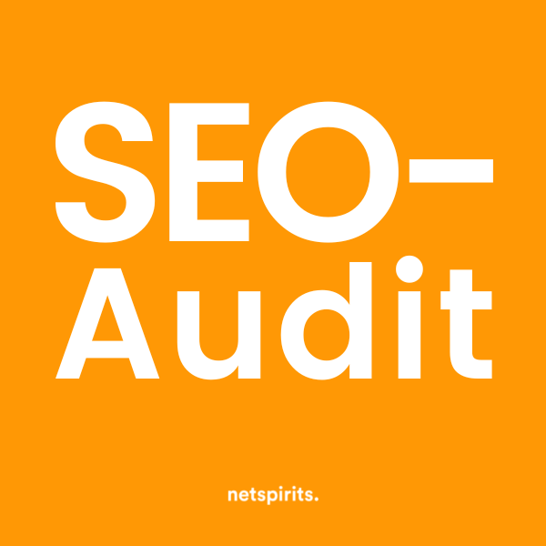 Unser SEO-Audit liefert dir eine Status-quo-Analyse und Handlungsempfehlungen.