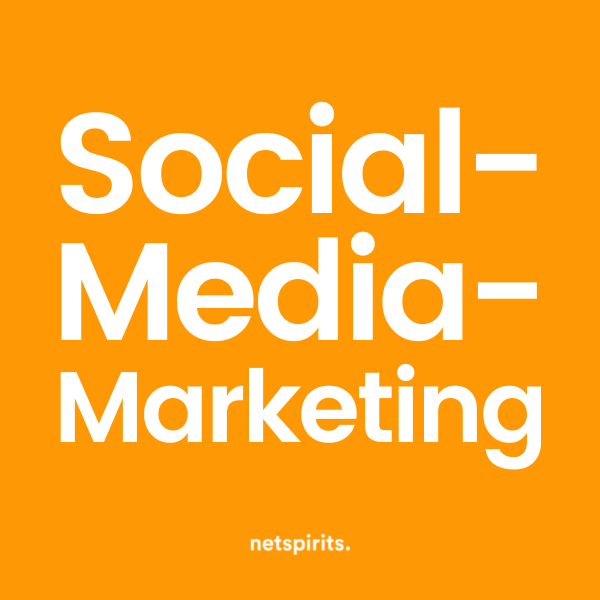 Social-Media-Marketing-Leistungen von netspirits