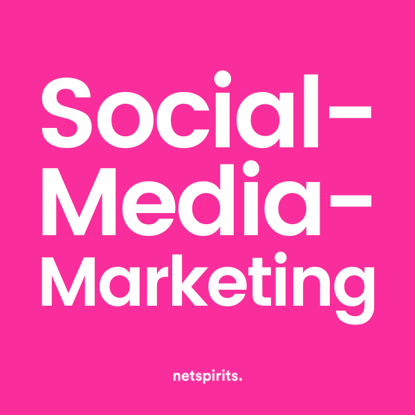 Erobere das Netz: Mit SEA und Social-Media-Marketing