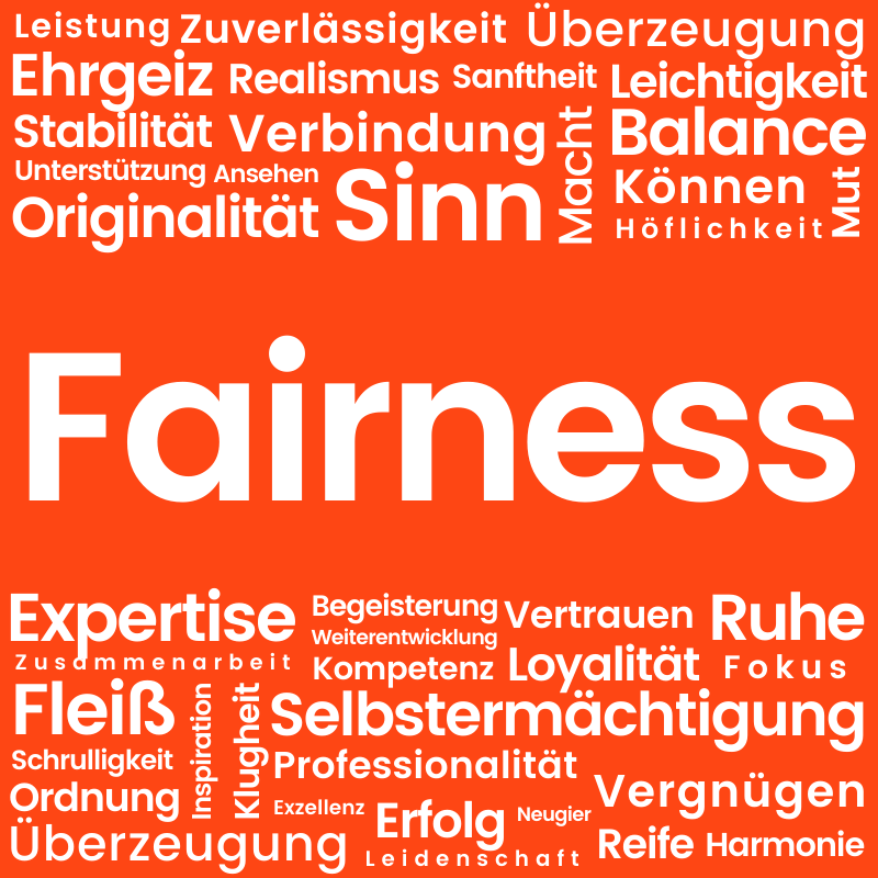 netspirits-Wert: Fairness