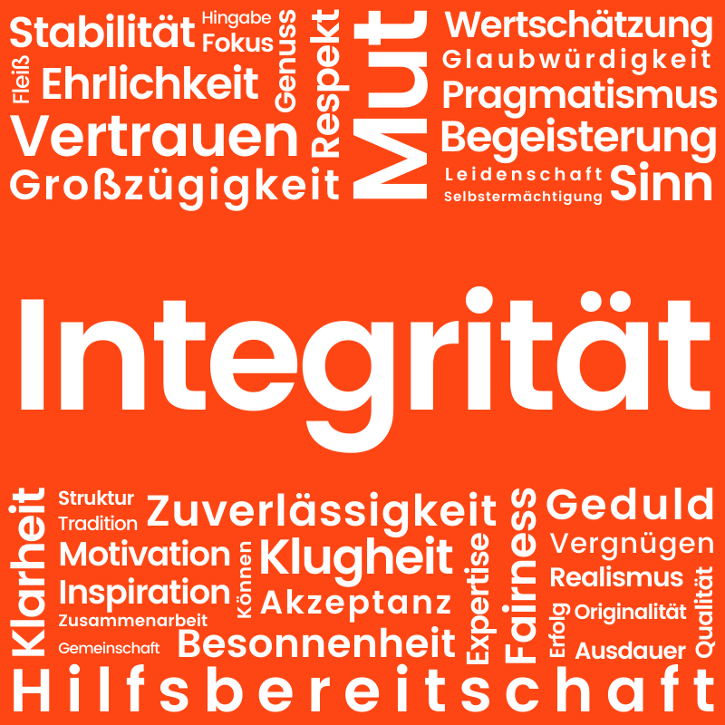 netspirits-Wert: Integrität