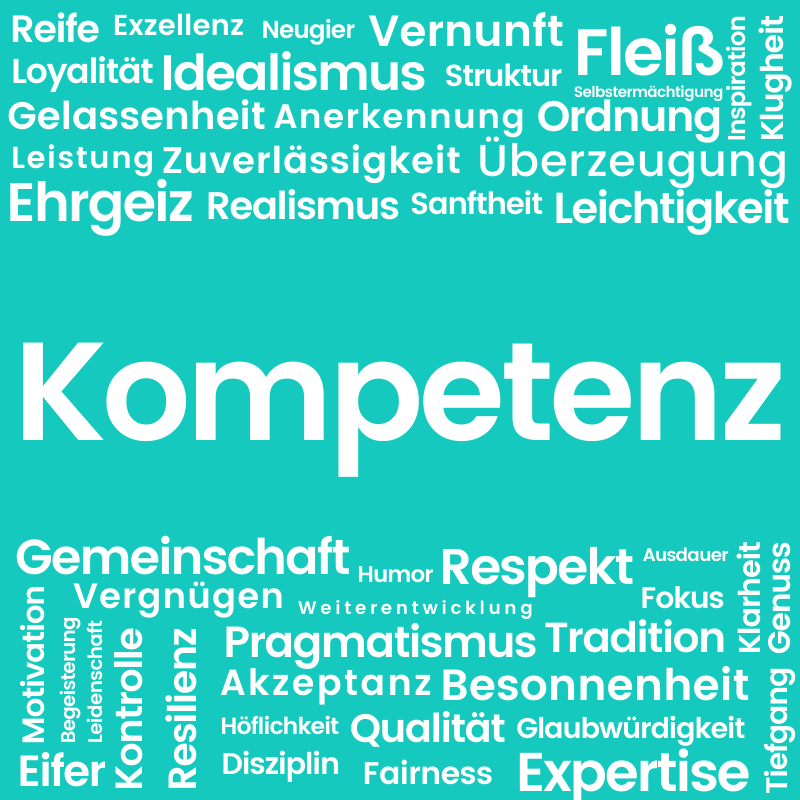 netspirits-Wert: Kompetenz