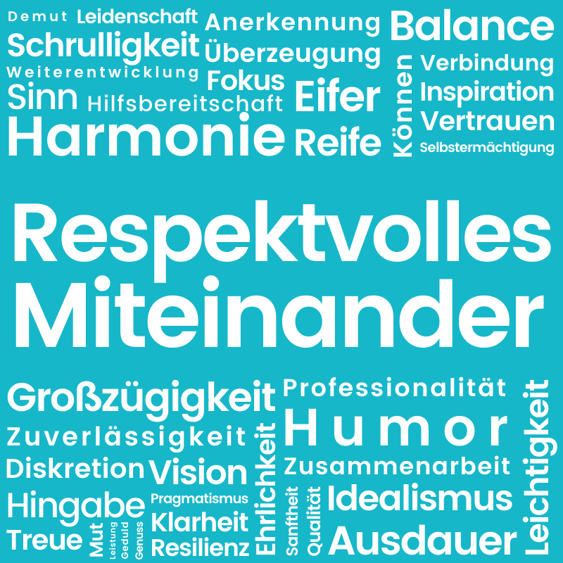 netspirits-Wert: Respektvolles Miteinander