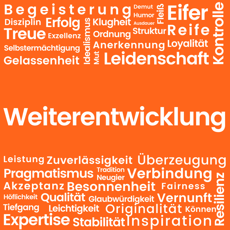 netspirits-Wert: Weiterentwicklung